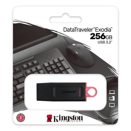 Kingston Technology DataTraveler Exodia Co-logo USB flash drive 256 GB USB Type-A 3.2 Gen 1 (3.1 Gen 1) Black