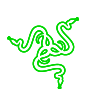 razer logo