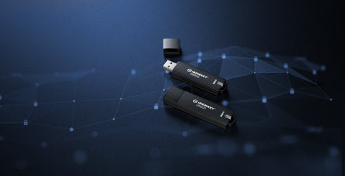 Kingston Technology IronKey 256GB D500S FIPS 140-3 Lvl 3 AES-256