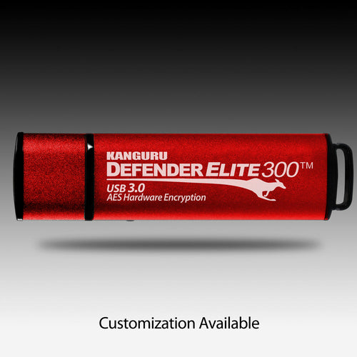 iStorage Kanguru Defender Elite 300 USB flash drive 256 GB USB Type-A 3.2 Gen 1 (3.1 Gen 1) Black