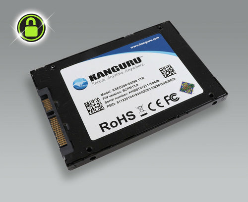 iStorage Kanguru Defender SED300 Hardware-Based Self-Encrypting Internal SATA SSD 2TB | FIPS 140-2 Level 2 Certified | Self-Encrypting 2.5” SATA SSD |TAA Compliant