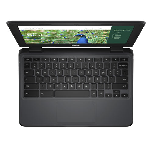 DELL Chromebook 3120 Intel® N N100 29.5 cm (11.6") HD 4 GB LPDDR5-SDRAM 64 GB eMMC Wi-Fi 6 (802.11ax) ChromeOS Black