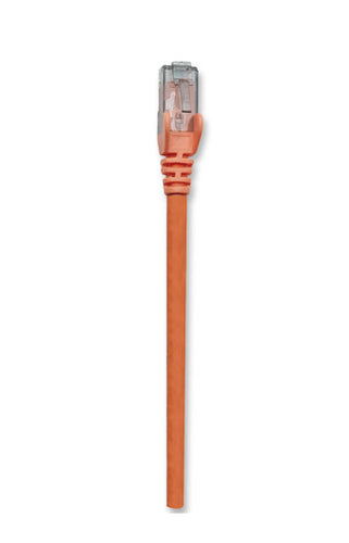 Intellinet 347518 networking cable Orange 0.3 m Cat6 U/UTP (UTP)