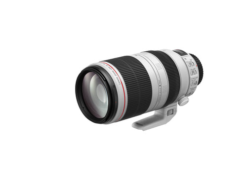 Canon EF 100-400mm f/4.5-5.6L IS II USM SLR Telephoto lens Black, White