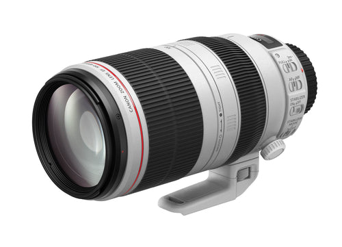 Canon EF 100-400mm f/4.5-5.6L IS II USM SLR Telephoto lens Black, White