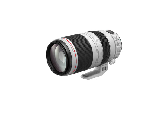 Canon EF 100-400mm f/4.5-5.6L IS II USM SLR Telephoto lens Black, White
