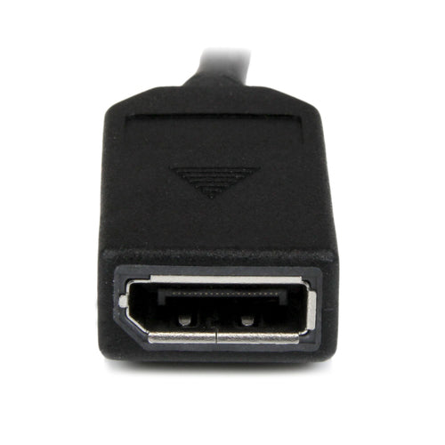 StarTech.com 8" (20 cm) DMS-59 to Dual DisplayPort Adapter Cable - 4K x 2K Video - LFH DMS 59 pin (M) to 2x DisplayPort 1.2 (F) Splitter Y Cable - LFH Graphics Card to Dual DP Monitors
