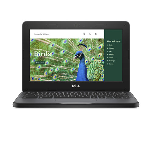DELL Chromebook 3120 Intel® N N100 29.5 cm (11.6") HD 4 GB 64 GB Flash Wi-Fi 6 (802.11ax) ChromeOS Black