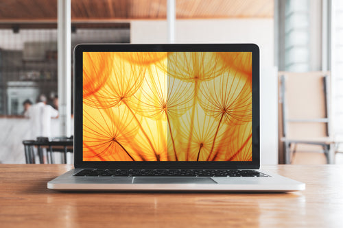 3M Bright Screen Privacy Filter for Apple® MacBook Pro® 16 M1-M4, 16:10, BPNAP005
