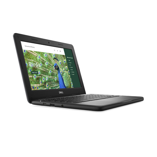 DELL Chromebook 3120 Intel® N N100 29.5 cm (11.6") HD 4 GB LPDDR5-SDRAM 64 GB eMMC Wi-Fi 6 (802.11ax) ChromeOS Black