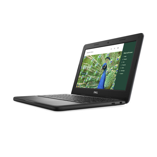 DELL Chromebook 3120 Intel® N N100 29.5 cm (11.6") HD 4 GB LPDDR5-SDRAM 64 GB eMMC Wi-Fi 6 (802.11ax) ChromeOS Black