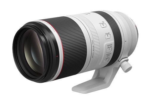 Canon RF 100-500mm F4.5-7.1 L IS USM MILC Super telephoto lens Black, White