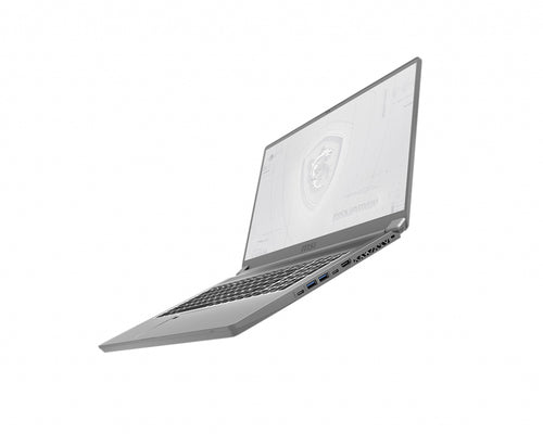 MSI Workstation WS75 10TK-469 laptop Intel® Core™ i7 i7-10875H Mobile workstation 43.9 cm (17.3") Full HD 32 GB DDR4-SDRAM 1 TB SSD NVIDIA Quadro RTX 3000 Wi-Fi 6 (802.11ax) Windows 10 Pro Grey