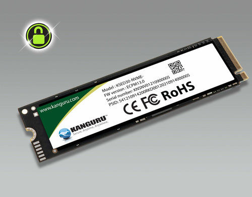 iStorage Kanguru Defender SED30™ M.2 NVMe 4TB Internal Self-Encrypting Solid State Drive| Internal NVMe PCIe M.2, 2280 NVMe Gen 4 x 4 | AES-XTS 256-bit Hardware Encryption |Ideal for Laptops, Tablets and Computers| TAA Compliant