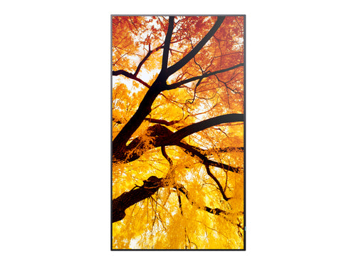 Sharp MultiSync PN-M752 189.2 cm (74.5") LED 550 cd/m² 4K Ultra HD Black 24/7