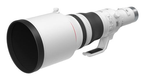 Canon RF800mm F5.6 L IS USM Overview