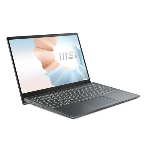 MSI Modern 14 B11SB-083 Intel® Core™ i7 i7-1165G7 Laptop 35.6 cm (14") Full HD 16 GB DDR4-SDRAM 1 TB SSD NVIDIA GeForce MX450 Wi-Fi 5 (802.11ac) Windows 10 Pro Grey