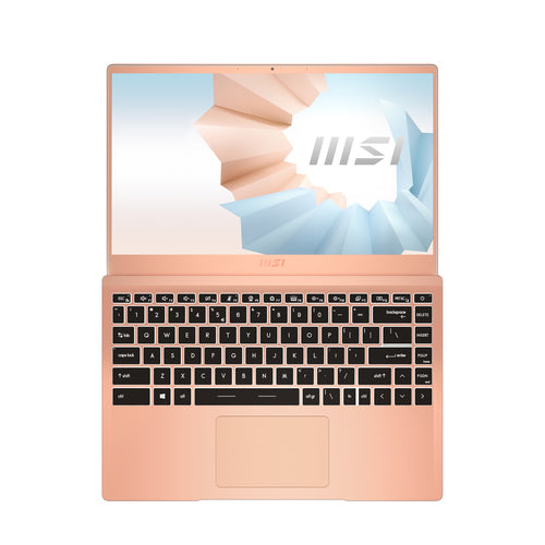 MSI Modern 14 B11SB-290 Intel® Core™ i7 i7-1165G7 Laptop 35.6 cm (14") Full HD 16 GB DDR4-SDRAM 512 GB SSD NVIDIA GeForce MX450 Wi-Fi 6 (802.11ax) Windows 10 Home Beige