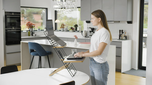 Mousetrapper Standfriend Sit/Stand Desk Grey