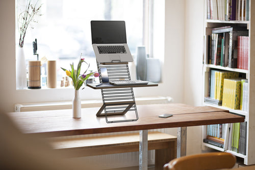 Mousetrapper Standfriend Sit/Stand Desk Grey