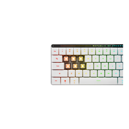 ASUS M603 FALCHION RX LP/RLBL/CA keyboard Gaming USB + RF Wireless + Bluetooth White