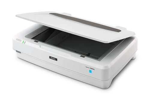 Epson Expression 13000XL Flatbed scanner 2400 x 4800 DPI A3 White