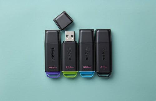 Kingston Technology DataTraveler 512GB Portable USB 3.2 Gen 1 Exodia Black/Purple
