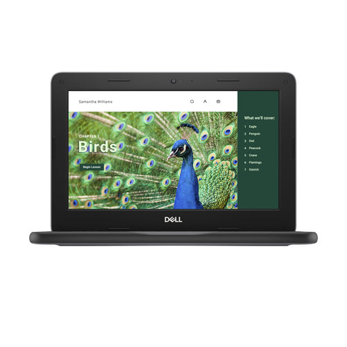 DELL Chromebook 3120 Intel® N N100 29.5 cm (11.6") HD 4 GB LPDDR5-SDRAM 64 GB eMMC Wi-Fi 6 (802.11ax) ChromeOS Black