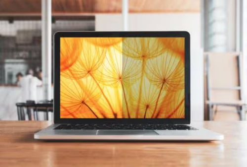 3M BP145W1B display privacy filter 36.8 cm (14.5") Laptop Frameless display privacy filter