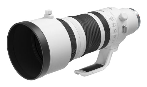 Canon RF100-300mm F2.8 L IS USM Overview