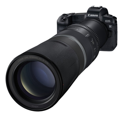 Canon RF 800mm F11 IS STM Overview