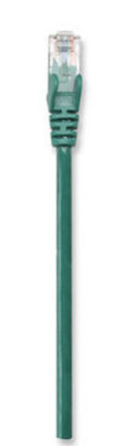 Intellinet RJ-45, M/M, 30m networking cable Green Cat5e