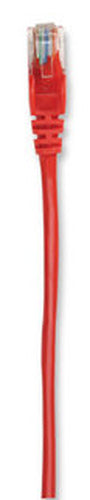 Intellinet RJ-45, M/M, 30m networking cable Red Cat5e