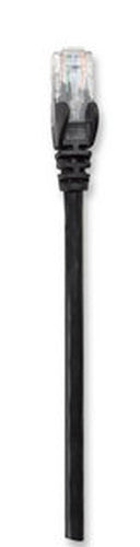 Intellinet Cat5e, UTP, 30m networking cable Black U/UTP (UTP)