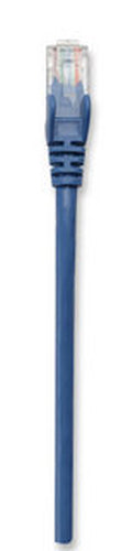 Intellinet 320634 networking cable Blue 30 m
