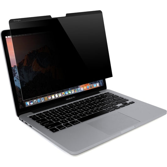 13"  Magnetic Privacy Screen